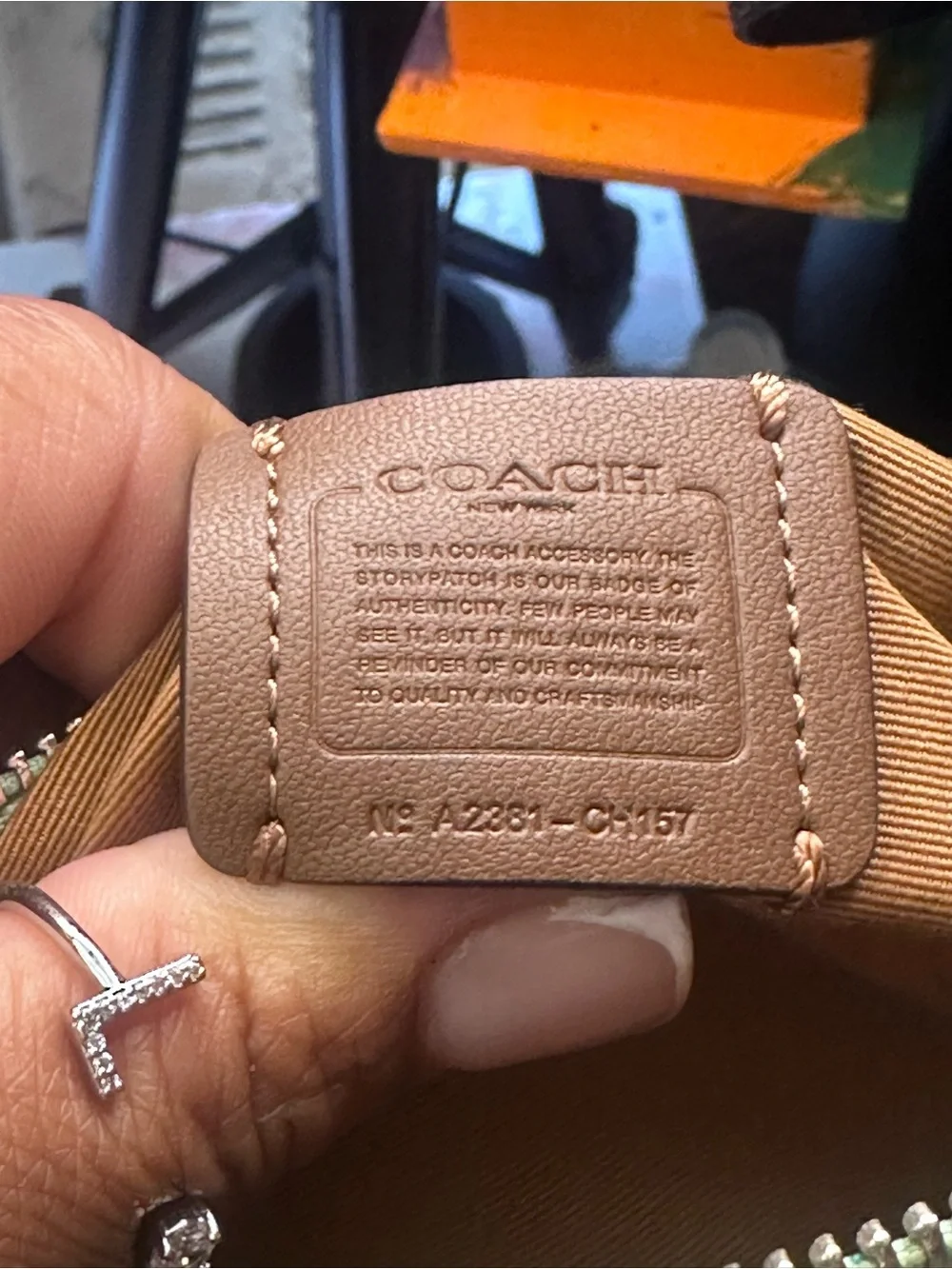 Coach structured mini